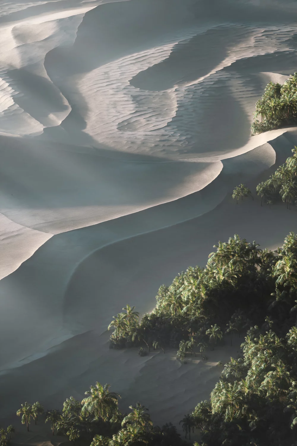 World Creator Terrain Sample 256