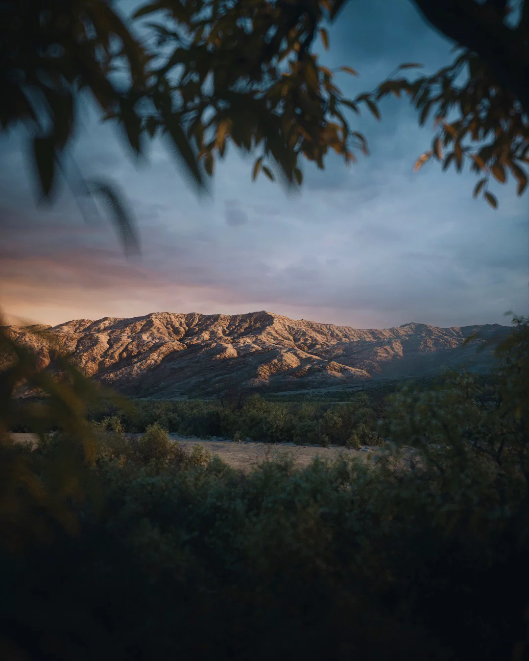 World Creator Terrain Sample 255