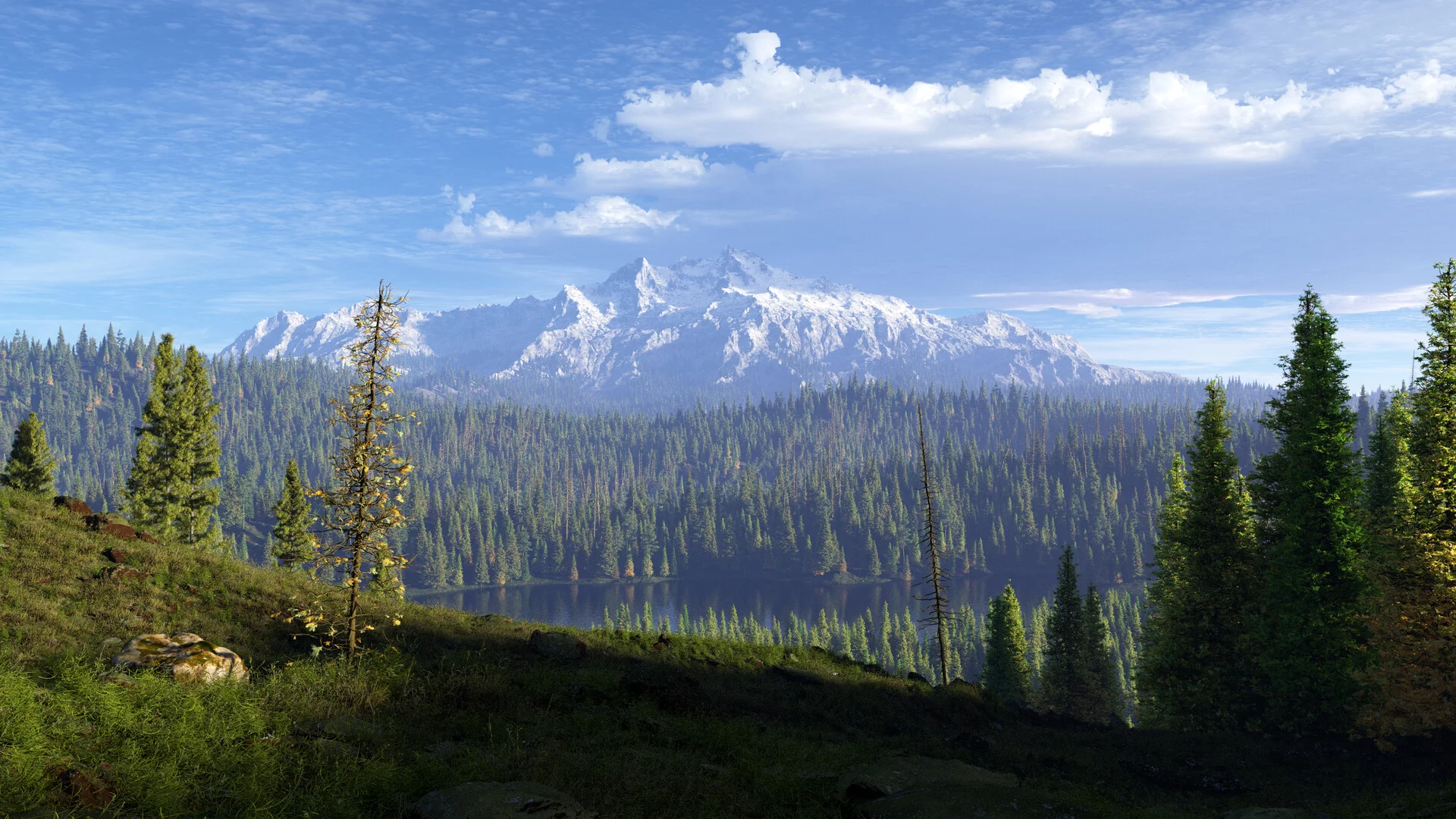 World Creator Terrain Sample 249