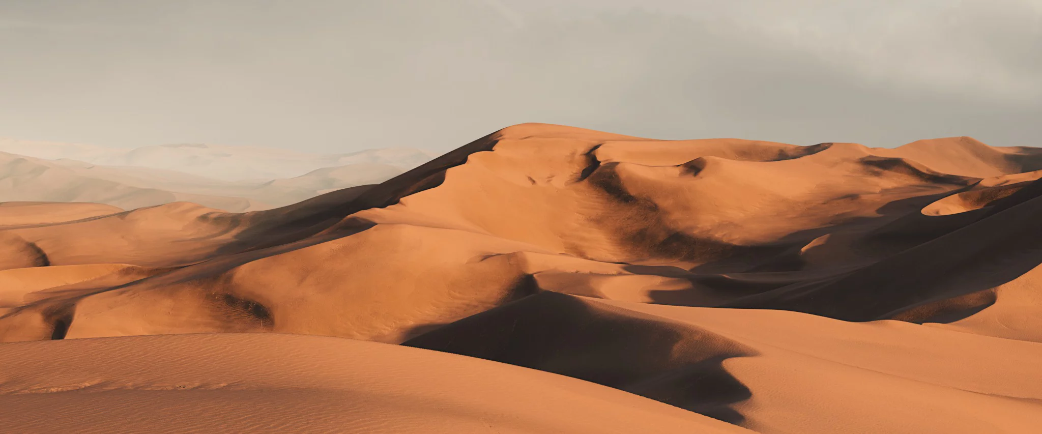 World Creator Terrain Sample 137