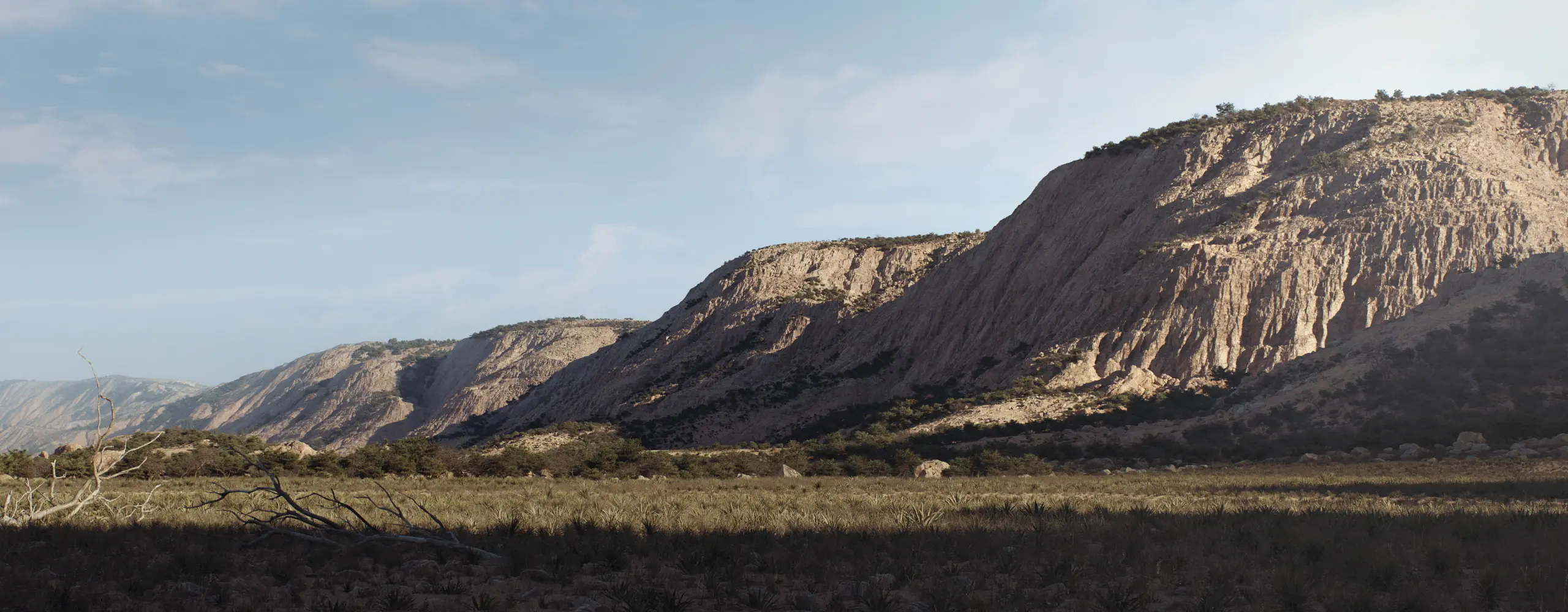 World Creator Terrain Sample 100