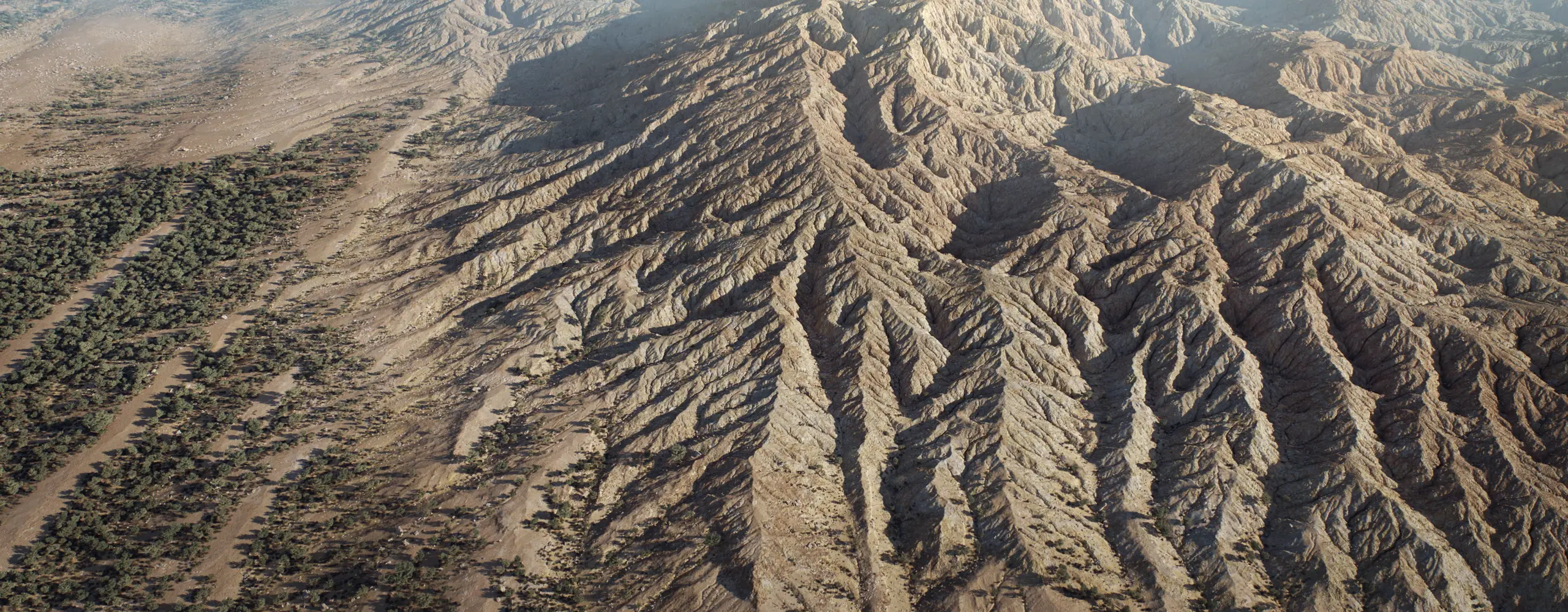 World Creator Terrain Sample 99