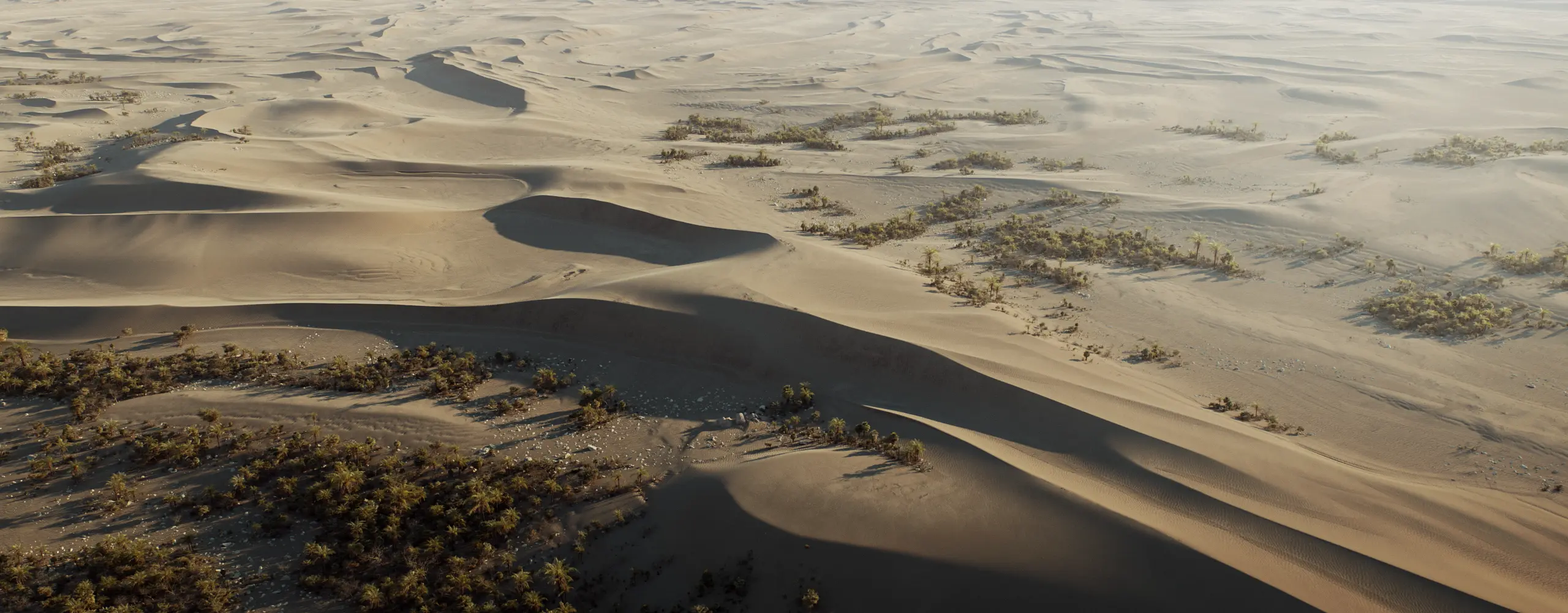 World Creator Terrain Sample 97