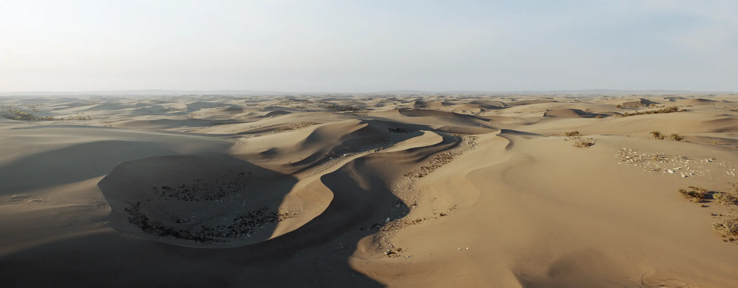 World Creator Terrain Sample 96
