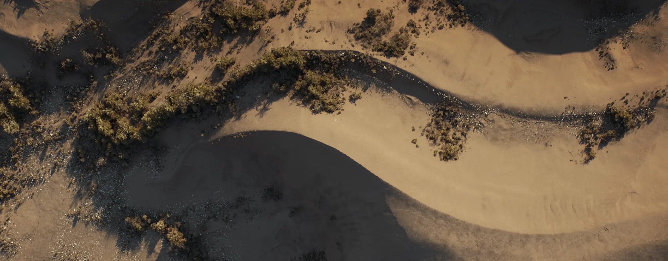 World Creator Terrain Sample 95