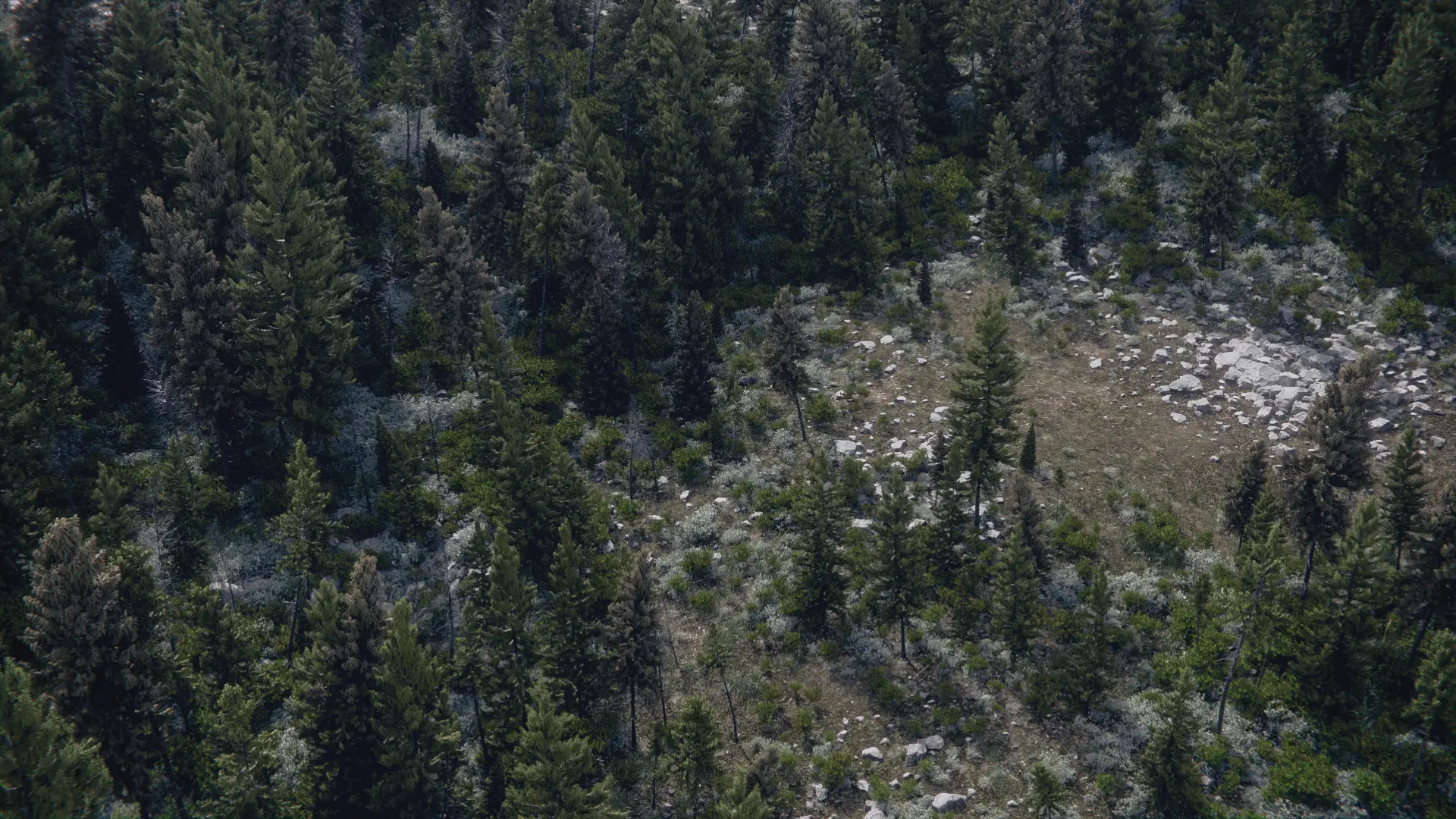 World Creator Terrain Sample 78
