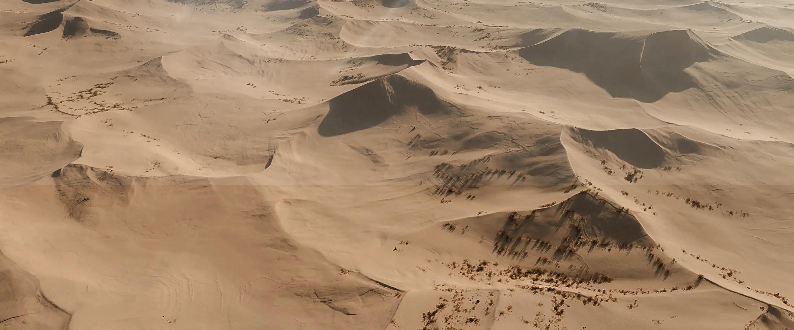 World Creator Terrain Sample 49