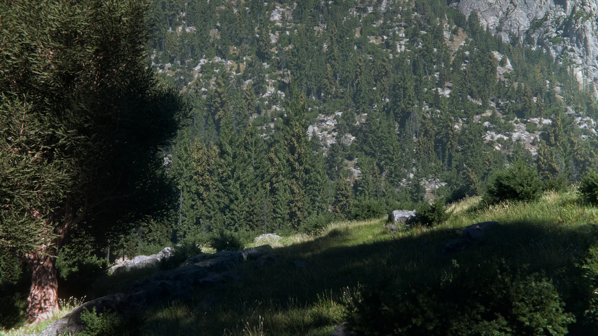 World Creator Terrain Sample 23